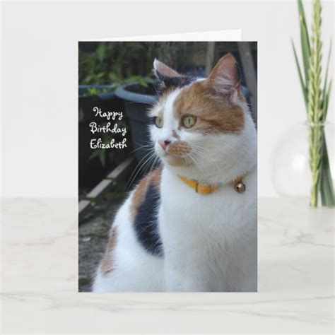 Personalised Calico Cute Cat Birthday Card Uk