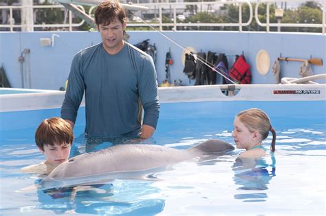 La Story Dolphin Tale Review