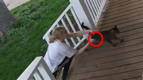 woman tries to steal cat from front porch didn t expect it to make this great escape youtube