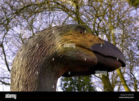 Prehistoric Bird Creature Beak Diatryma Flightless Bird Giant Extinct