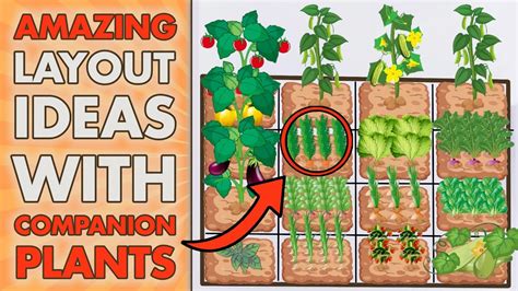 How To Plant A Garden For Beginners Vegetable Gardening Tips For