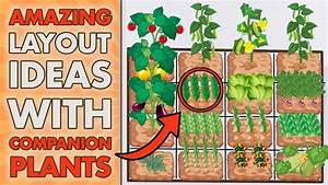 5 Square Foot Gardening Layout Ideas With Companion Plants Beginners