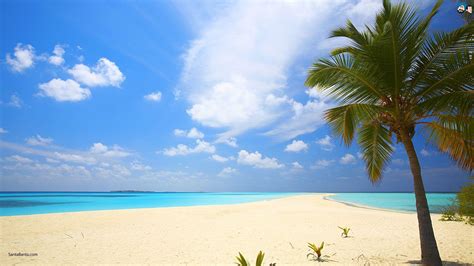 Backgrounds Beach Images Wallpaper Cave