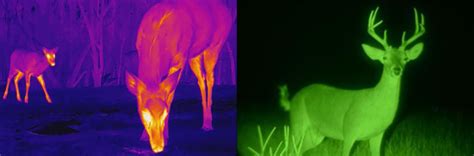 Night Vision Vs Thermal Imaging