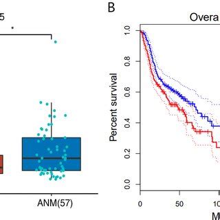 Expression And Survival Analysis Of LTA4H A Transcription Levels Of