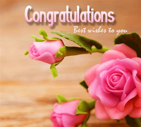 Congratulations Rose Flower Free For Everyone Ecards Greeting