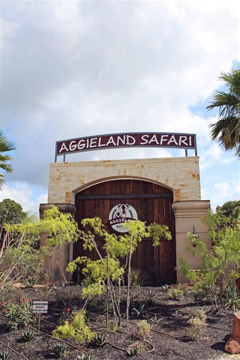 Reddawayregional.com flowers landing balmoral westwood newlight 71358 palmetto 71359 la college college sta college station 77841 77842 77843. Read all about the Aggieland Safari Adventure Park in ...