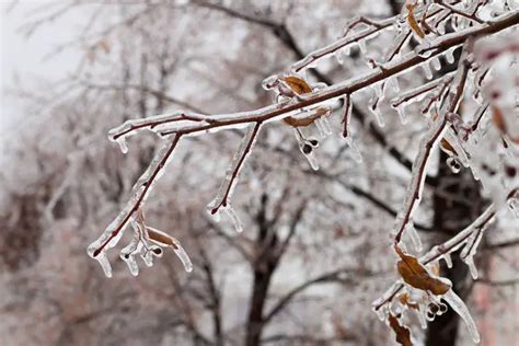 Freezing Rain What Is It And What Causes It The Weather Station
