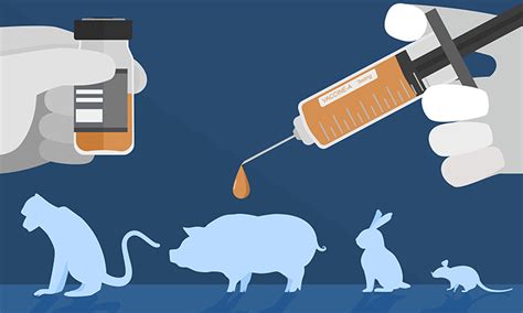 Exploring Alternatives To Animal Testing In Drug Discovery