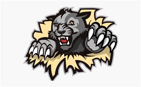 West Shore Wildcats Logo Free Transparent Clipart Clipartkey