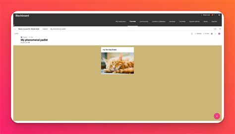 How To Add Padlet To Blackboard Lms Using Lti Padlet Knowledge
