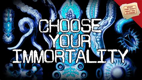 3 Types Of Immortality Digging Deeper Youtube
