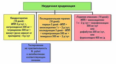 Диета и эрадикация Схема эрадикация хеликобактер пилори: Эрадикация Нelicobacter pylori Схема эрадикация хеликобактер пилори: Эрадикация Нelicobacter pylori Диета и эрадикация