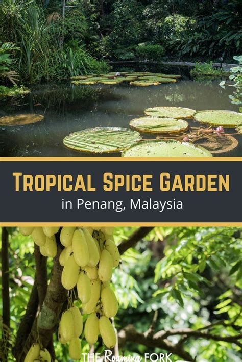 It is excellently tranquil and a suitable place to immerse one's self in the splendours of mother nature, this veritable secret garden is the place to be. Penang's Tropical Spice Garden | Tropisch, Garten