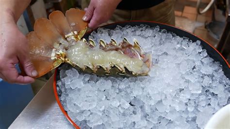 Japanese Street Food 600 Giant Rainbow Lobster Sweets Paradise