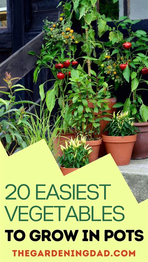 20 Easy Vegetables To Grow In Pots For Beginners The Gardening Dad In
