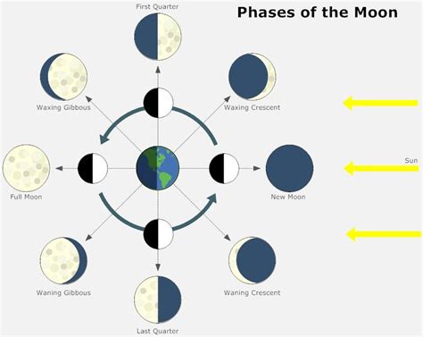 Printable Diagram Of The Phases Of The Moon Phases Of The Moon