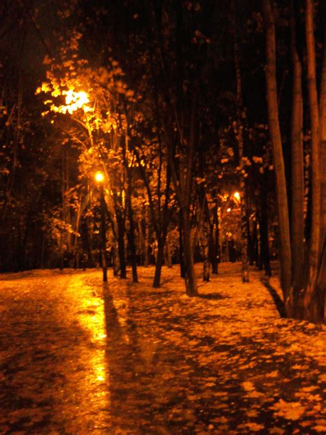 Night Rain Autumn A Touch Of Cold In The Autumn Night— I Walked