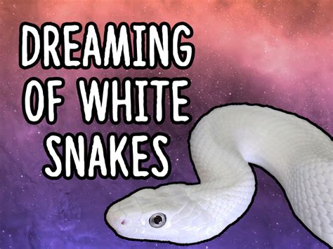 Dreaming Of White Snakes See Its Eye Opening Meaning And Symbolism