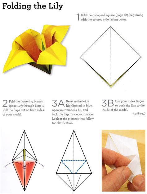 Craftside How To Fold An Origami Lily From Origami 101