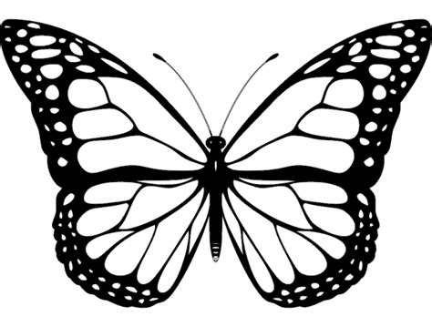 Butterfly Design Dxf File Free Download