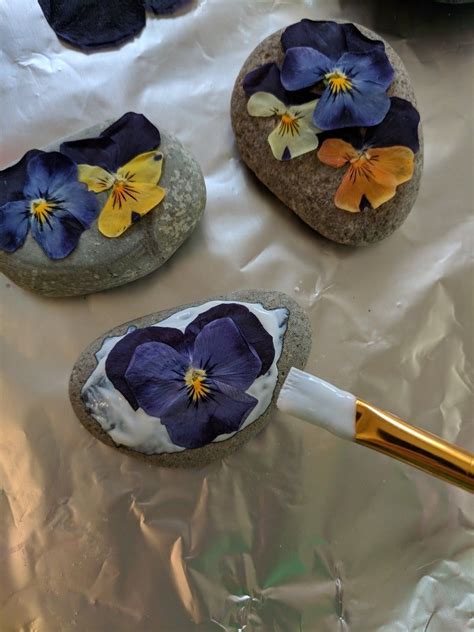 Pressed Flower Rocks Covered With Modge Podge Dried Flowers Diy