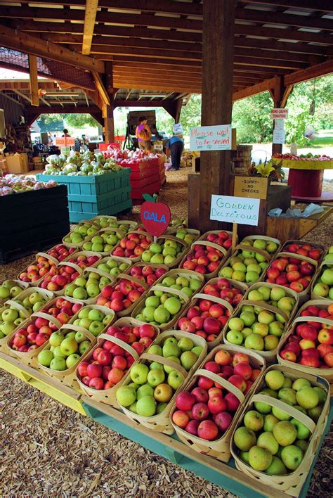 Apple Farms And Orchards Near Asheville And Hendersonville Nc North