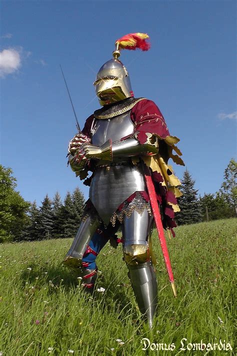 Medieval Milanese Armor Italian 14th Armor Hight Decored Bascinet Plate