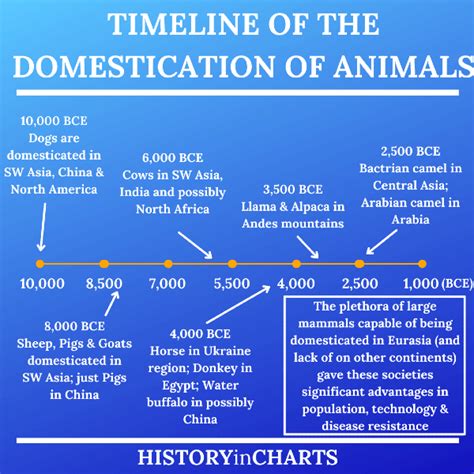 Timeline Of The Domestication Of Plants And Animals History In Charts