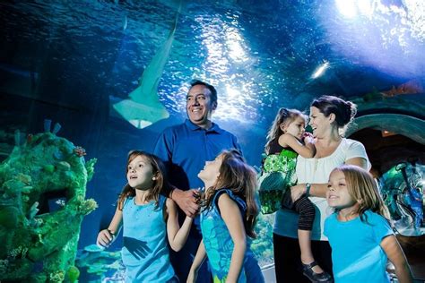 Sea Life Arizona Aquarium Tempe All You Need To Know Before You Go