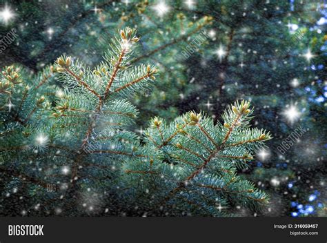 Winter Background Image And Photo Free Trial Bigstock