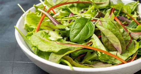 Spinach Vs Swiss Chard Which Is Better Complete Comparison