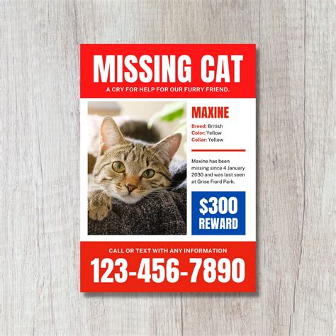 Missing Dog Missing Cat Template Missing Dog Flyer Editable Etsy