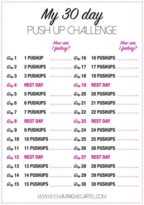 30 Day Pushup Challenge Men The 30 Day Push Up Challenge For