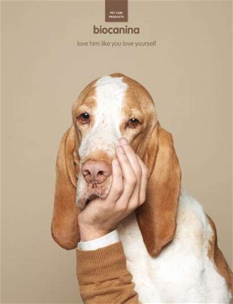 We make choices for our families every day, and our pets are family too. Healthy Humanimal Ads : Biocanina Pet Care Products