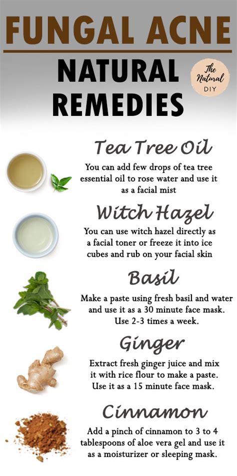 Fungal Acne Remedies Clean And Clear Skin The Natural Diy