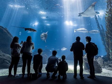 Oceanário De Lisboa