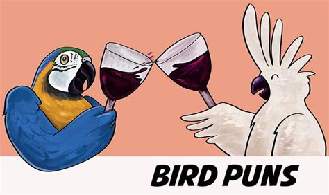 40 Funny Bird Puns And Parrot Jokes Bird Vibes