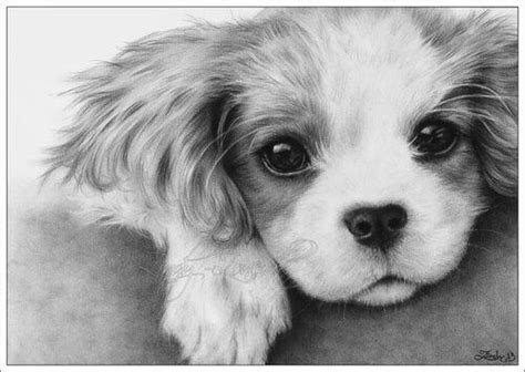 Now that you know how to draw a kawaii dog, you can fill up your. Cute dog sketch | Art Inspiration | Pinterest | Cute dogs ...