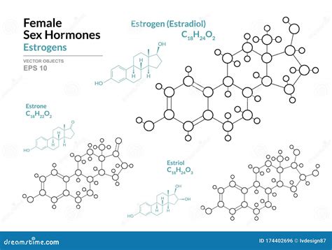 Estrogens Female Hormones Vector Chemical Molecular Formulas 142282639