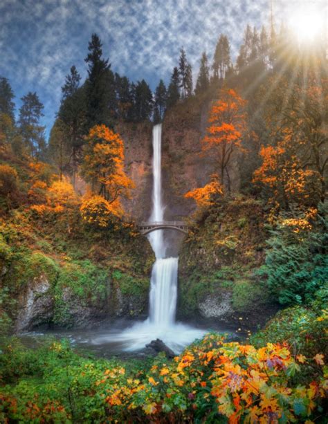 How To See The Columbia River Gorge Fall Foliage Carson Ridge Luxury