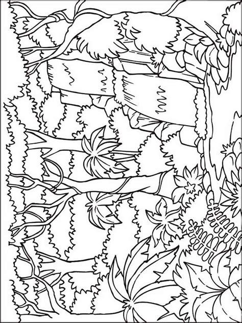 Forest Coloring Pages Download And Print Forest Coloring
