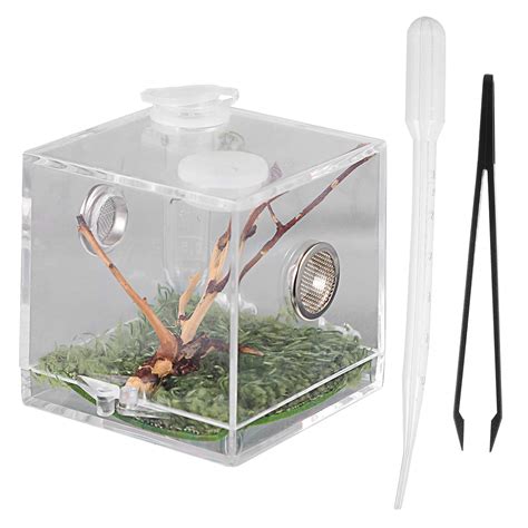 Buy Balacoo Pcs Reptile Breeding Box Clear Acrylic Reptile Cage Habitat Insect Feeding Box
