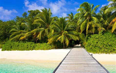 28 Tropical Beach Backgrounds Wallpapers Images Pictures Design