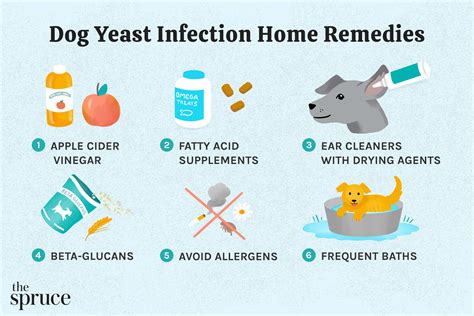 Dog Yeast Infection Home Remedy