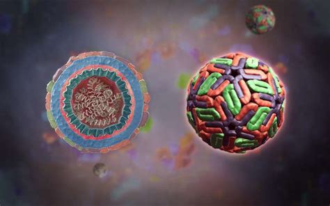 Scientists Explain The Survivability Of Viruses