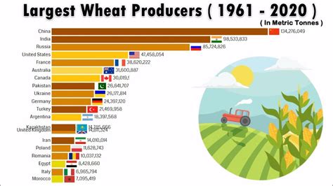 Worlds Largest Wheat Producers 1961 2020 Youtube