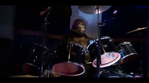 Watch How The Gorilla Plays The Drums At Cadbury World With