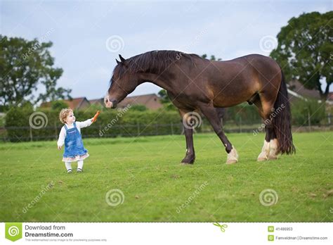Cute Little Baby Girl Feeding Big Horse On Ranch Stock