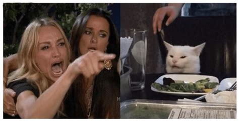 Woman Yelling At Cat Meme Template